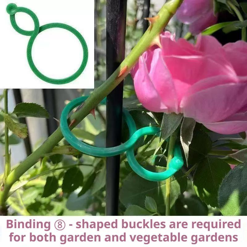 100 Pezzi Clip di Supporto per - Vine Climbing Plastic recensione e prezzo