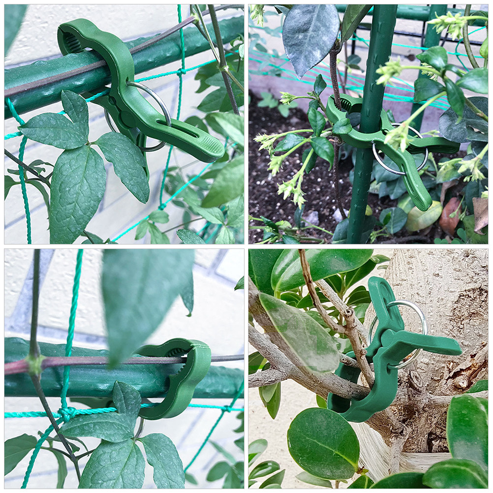 60 pezzi di clip per piante da - Vine Climbing Plastic recensione e prezzo
